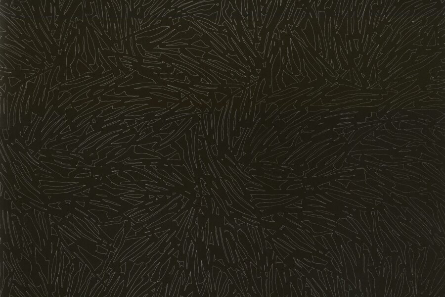 pohlednice s dílem Pavla Hayeka